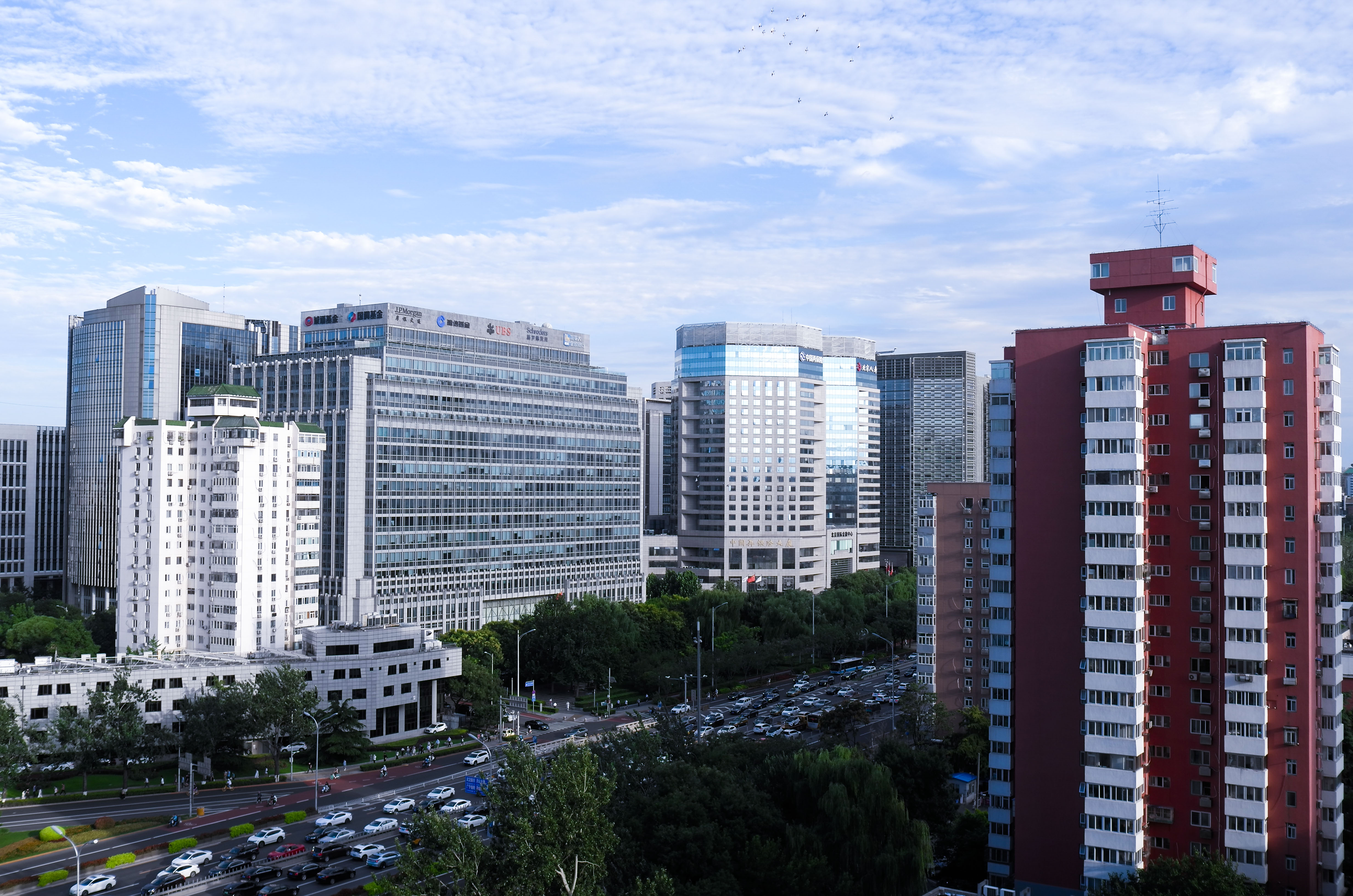 L1016410.jpg